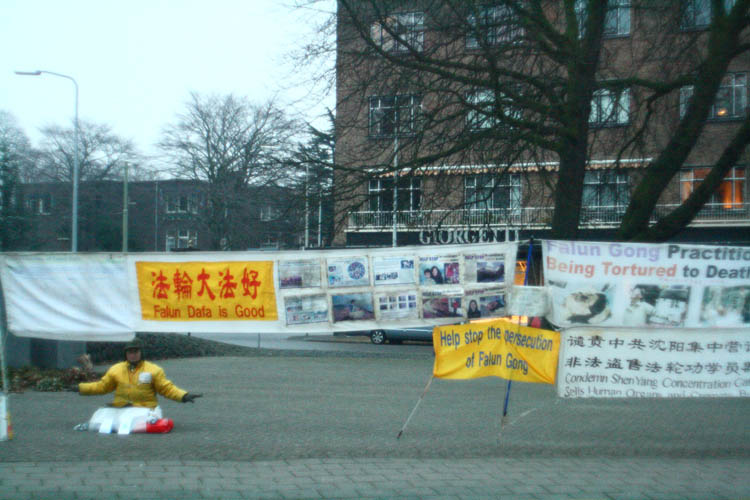 falun-dafa