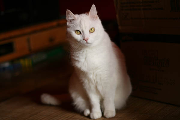 img_0004small