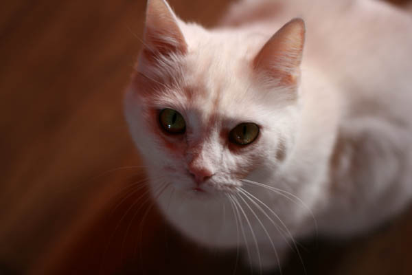 img_0013small