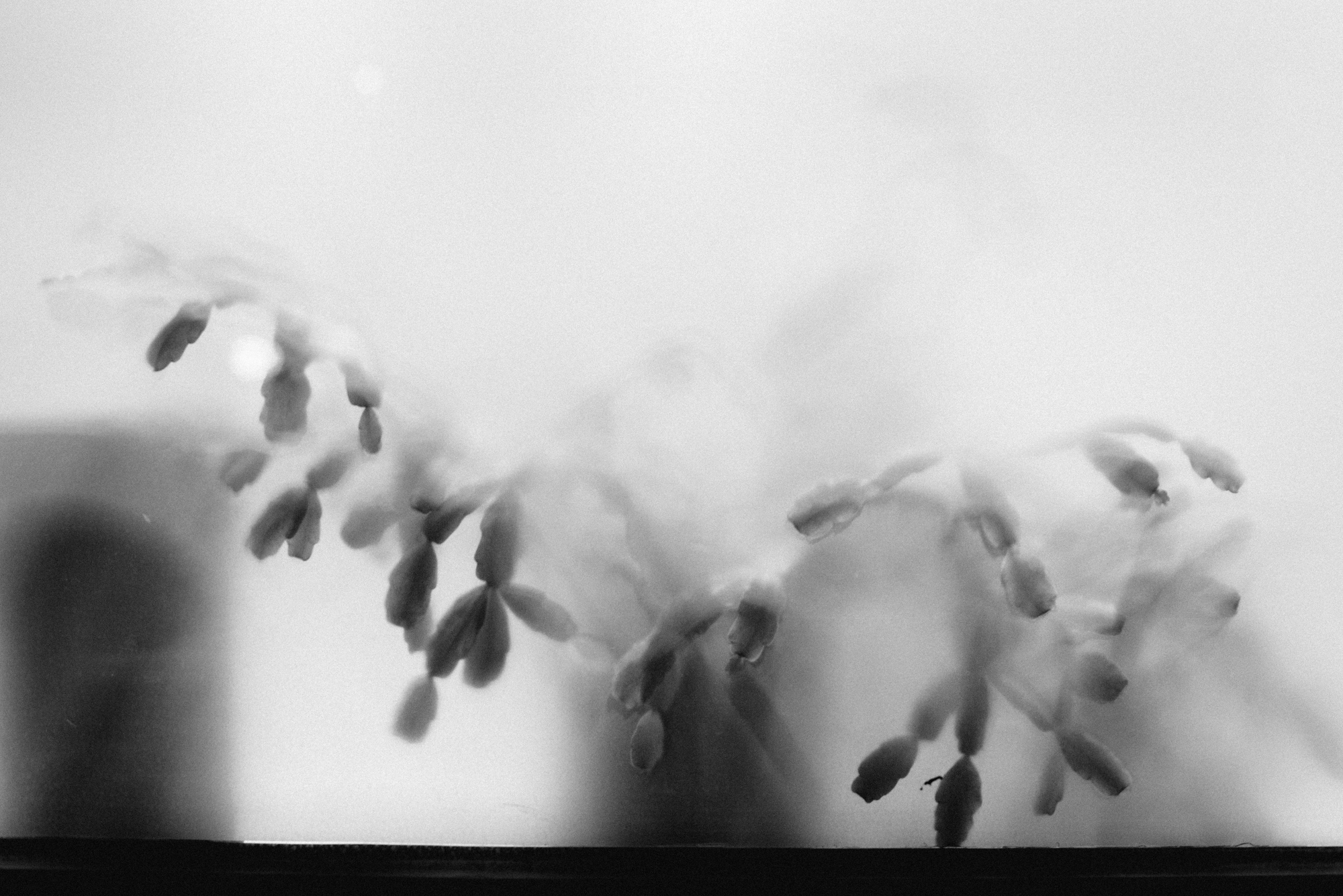 _DSC0347