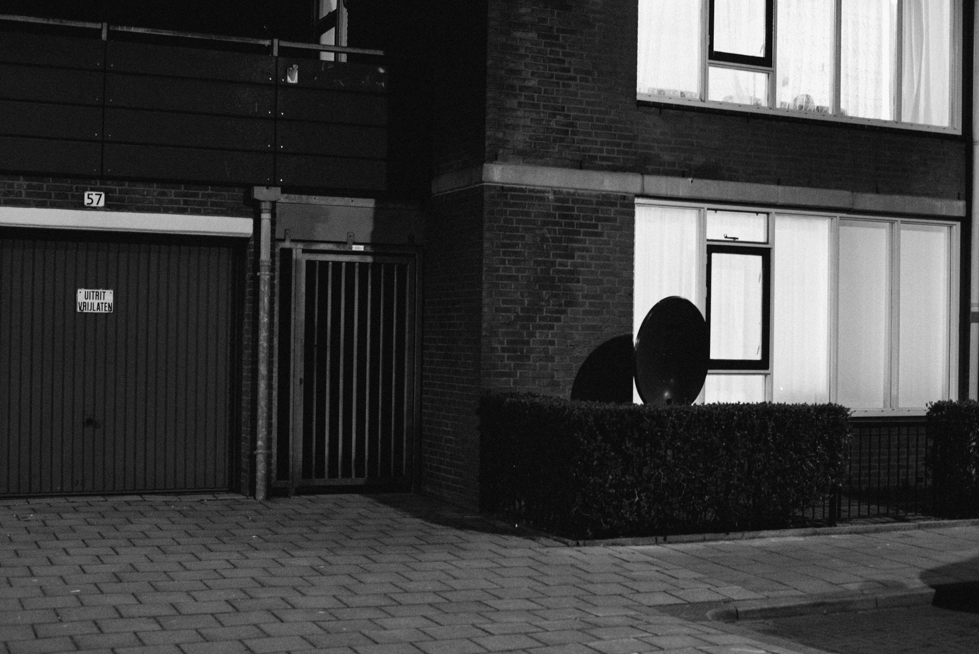 _DSC0353