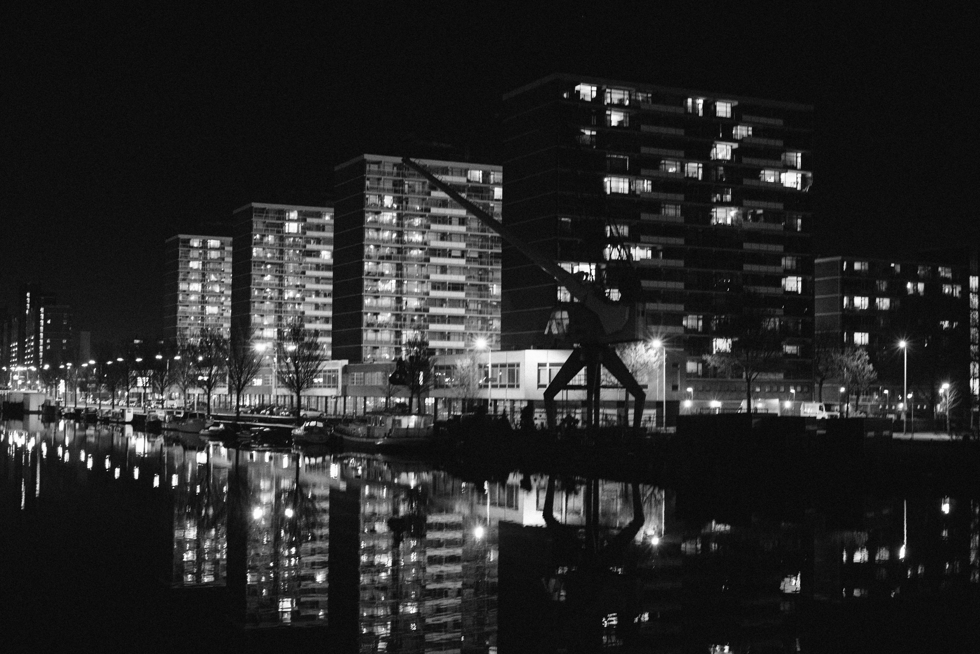 _DSC0372