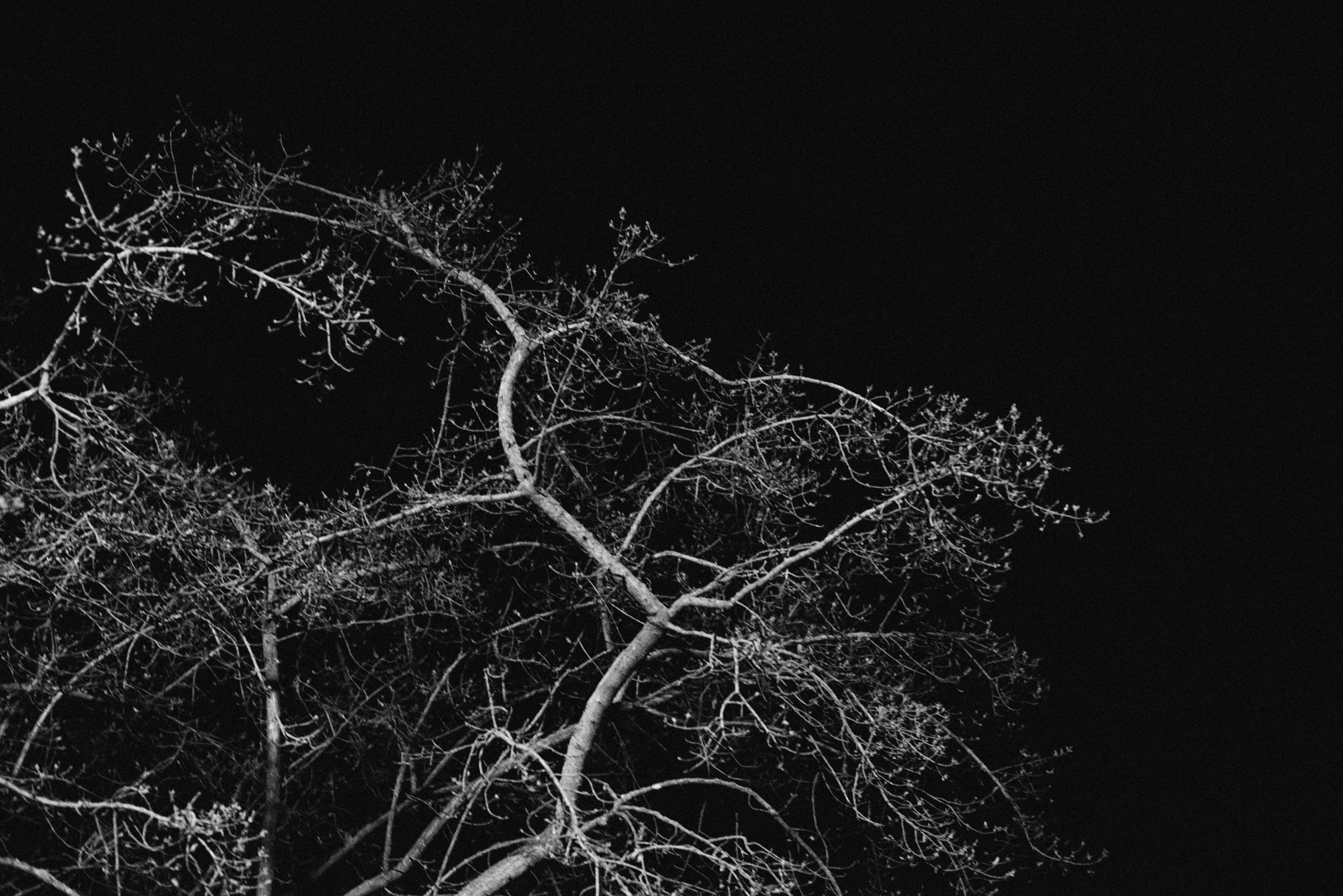 _DSC0380