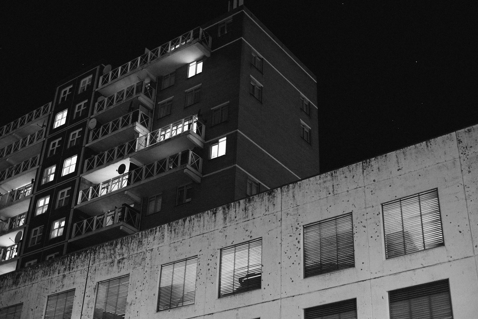 _DSC0398