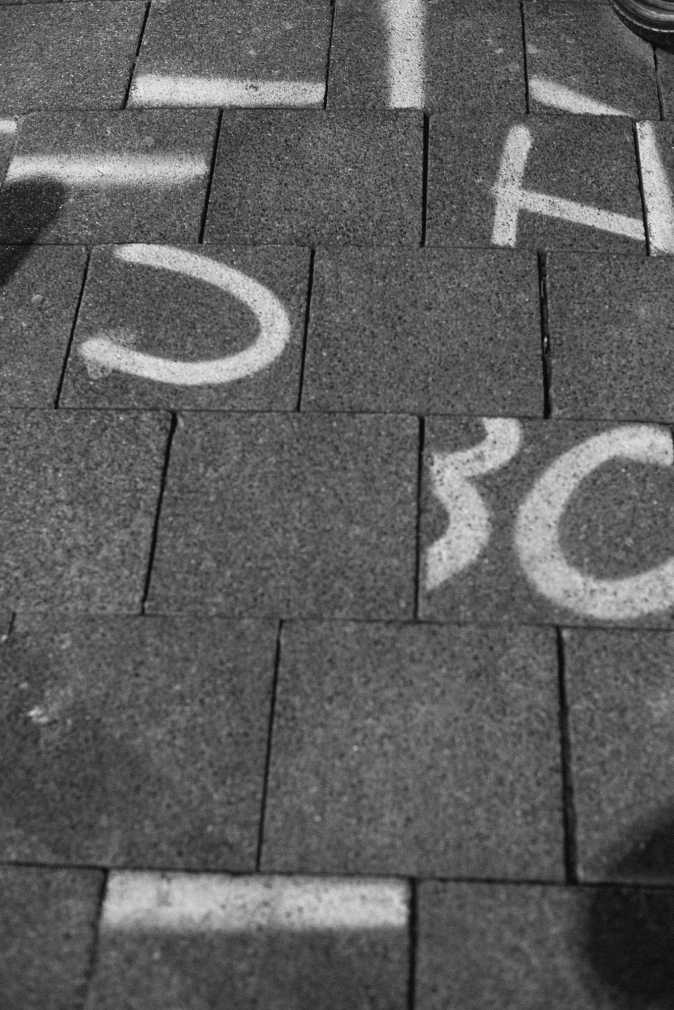 _DSC0403