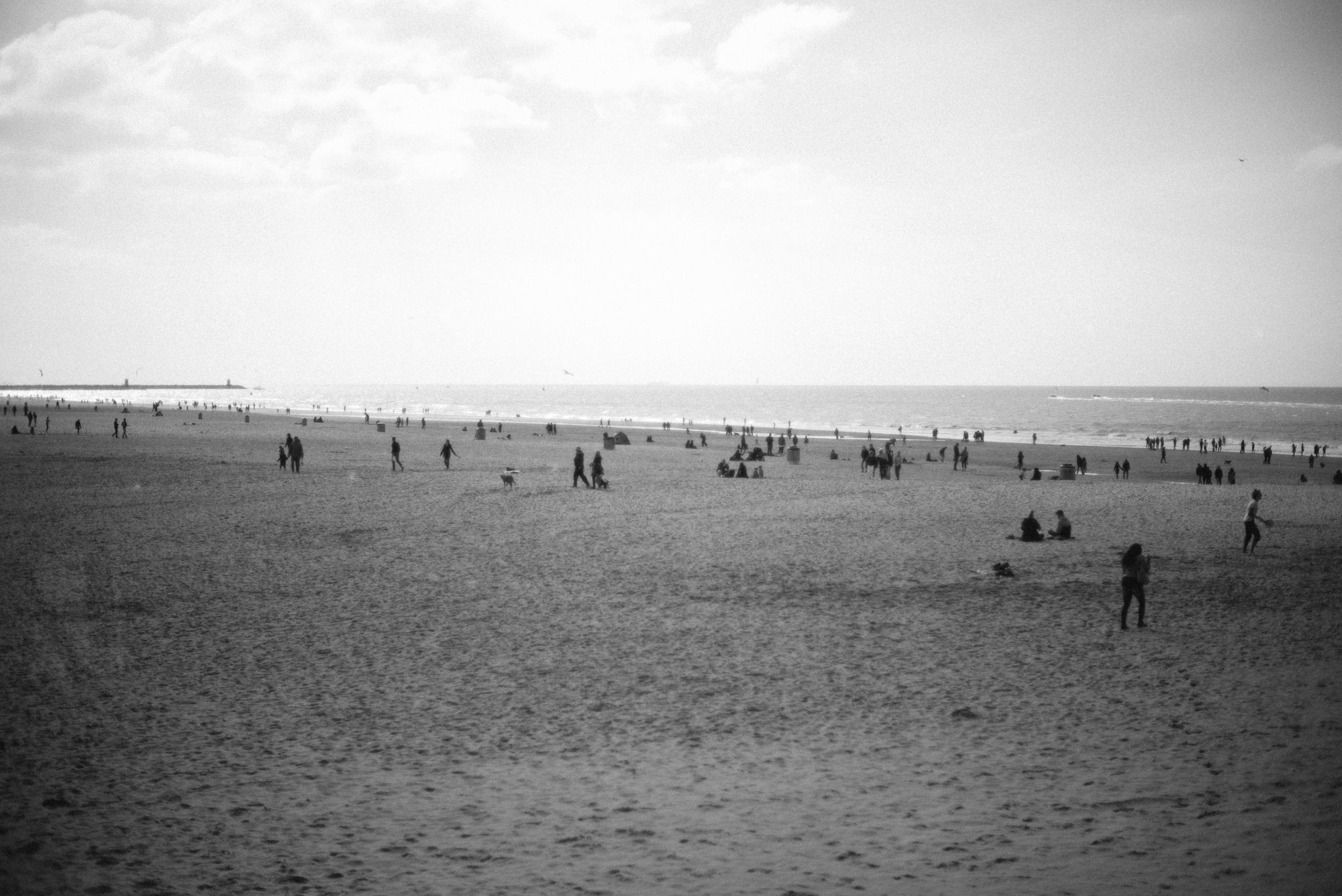 _DSC0459
