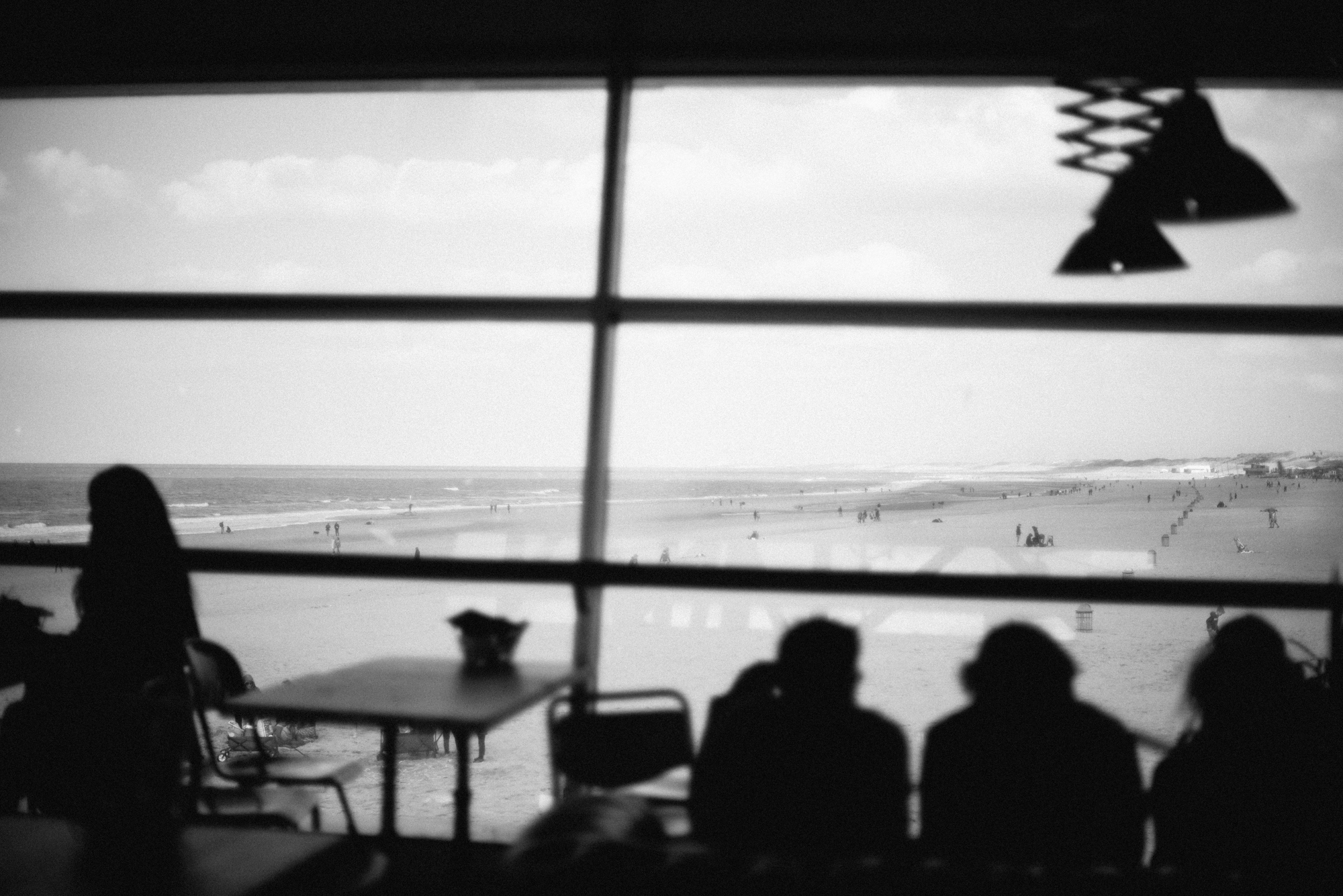 _DSC0461