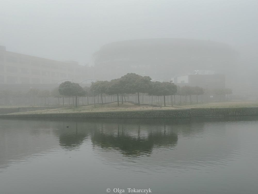 the mist © olga.tokarczyk@gmail.com